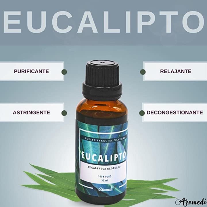 Aceite Esencial de Eucalipto 30 ml - www.lavanda.cat