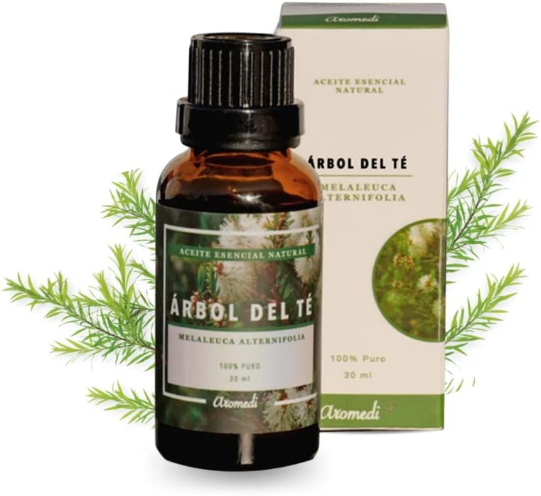 Aceite esencial de Árbol del Té 30 ml - www.lavanda.cat