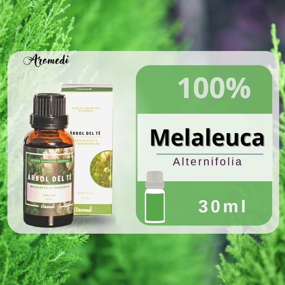 Aceite esencial de Árbol del Té 30 ml - www.lavanda.cat