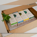 4 Grandes Maestros (Pack) - www.lavanda.cat