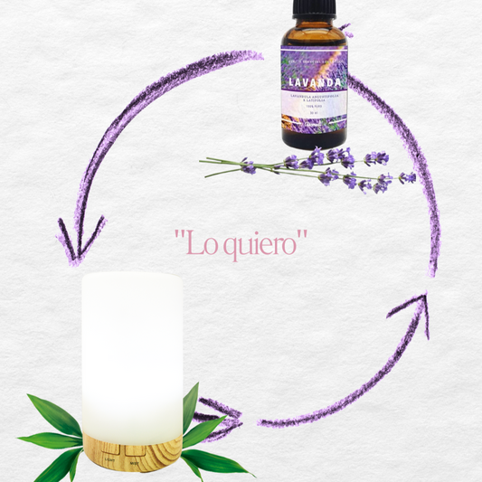 Difusor + aceite esencial de lavanda - www.lavanda.cat