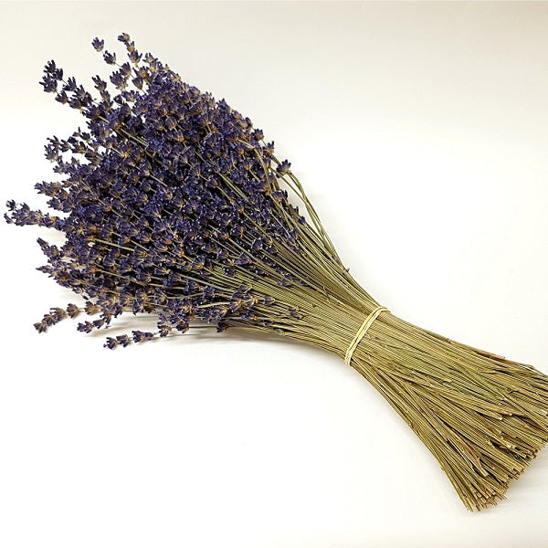 Ramillete de Lavanda - www.lavanda.cat