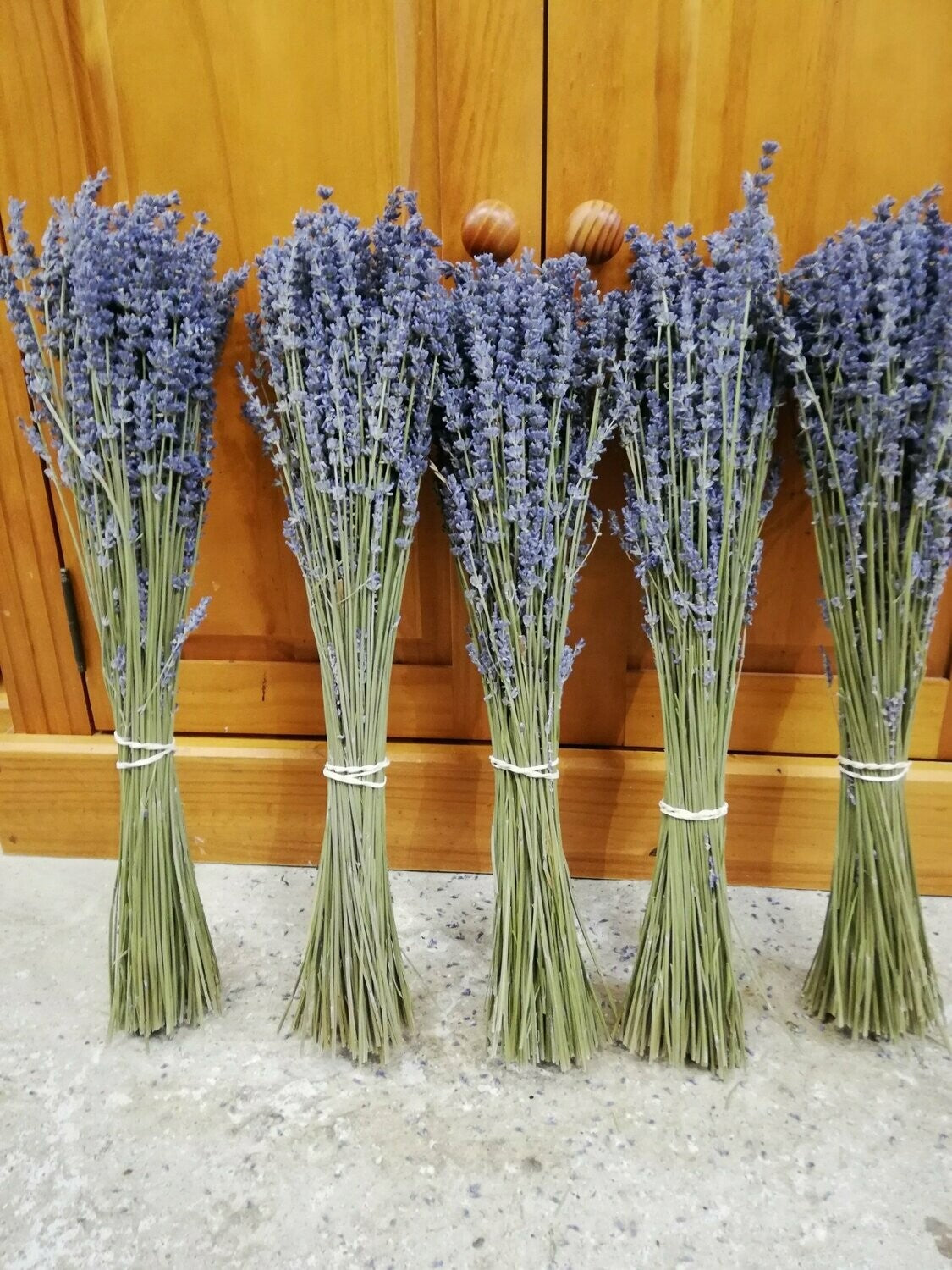 Ramillete de Lavanda - www.lavanda.cat