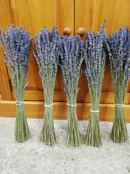 Ramillete de Lavanda - www.lavanda.cat