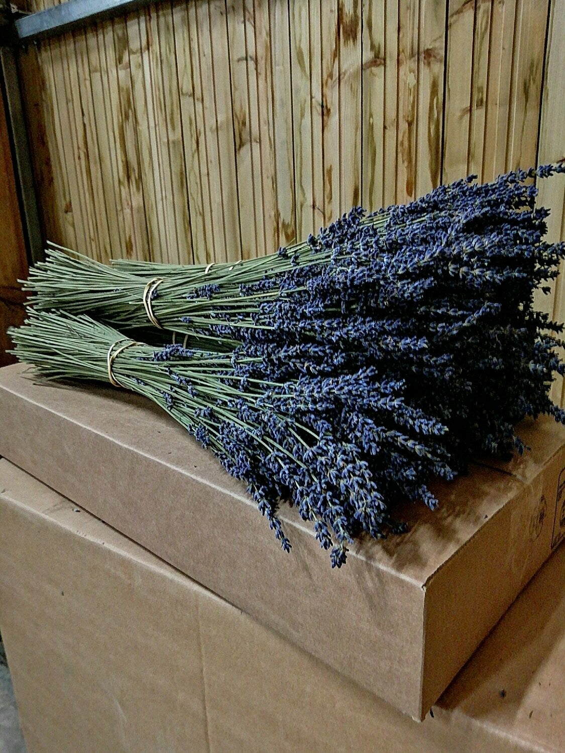 Ramillete de Lavanda - www.lavanda.cat